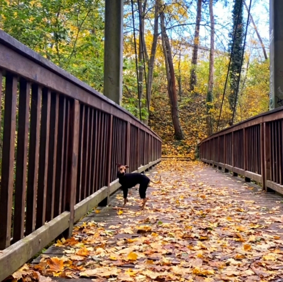 PLEASE SHOP HERE! - Picture 11 of 16